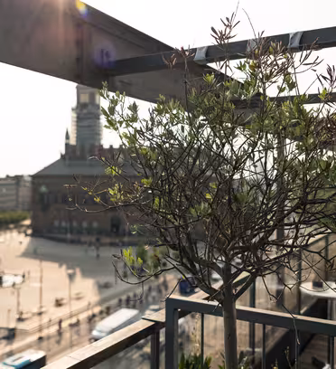 Utsikt fra en balkong med utsikt over et bytorg, med et lite tre i forgrunnen. Torget har historiske bygninger og en fontene. Bildet er opplyst av sollys, noe som gir det en varm tone.