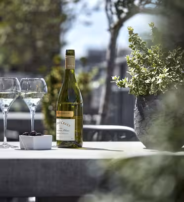 En flaske hvitvin og to fylte vinglass står på et bord utendørs. Ved siden av dem står et lite fat med mørke kirsebær. En plante og uskarpe grøntområder rammer inn scenen, og antyder en avslappet, solrik atmosfære.