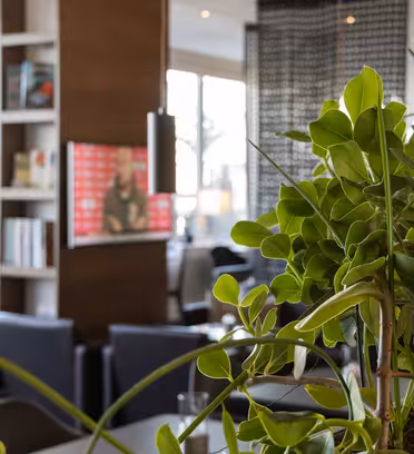 Innendørs nærbilde av grønne planter med uskarp bakgrunn som viser et moderne salongområde. En bokhylle og en TV-skjerm med rød bakgrunn med en utydelig figur er synlige. Mykt naturlig lys filtrerer gjennom store vinduer.